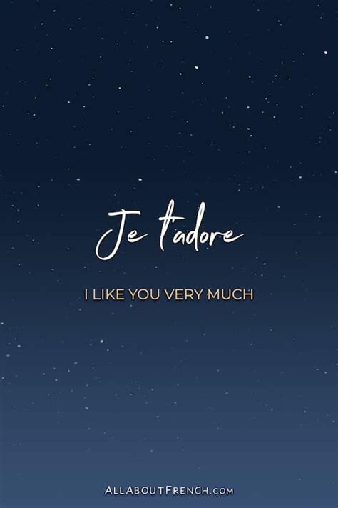 je t'adore meaning.